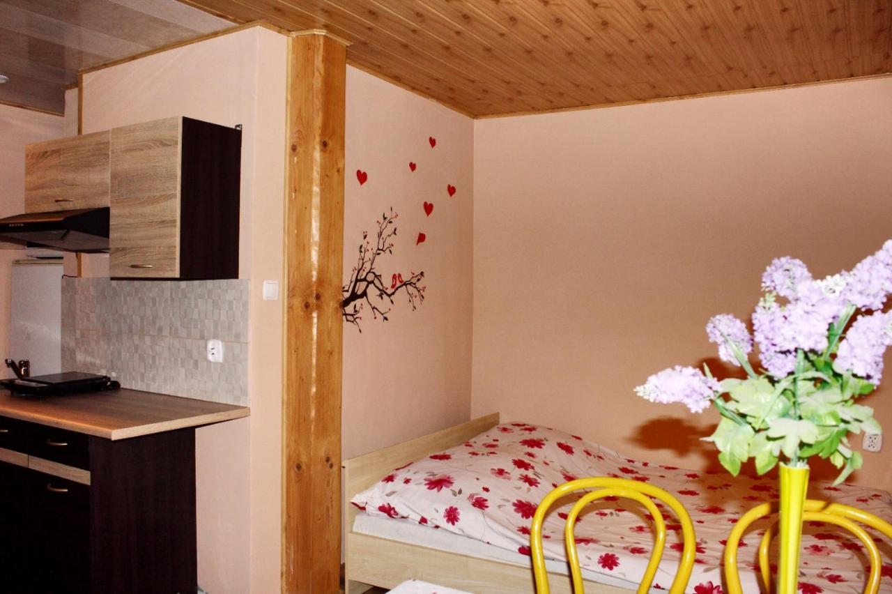 Pati Apartament Slonko Wisła Εξωτερικό φωτογραφία